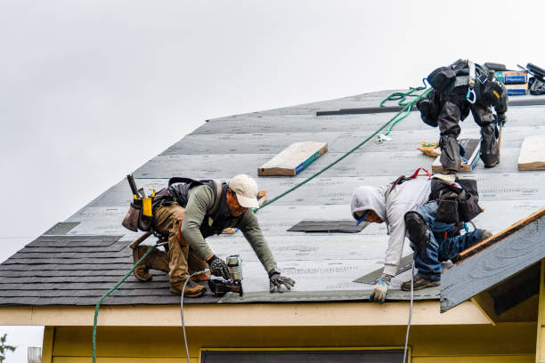 Professional Roof Replacement technician working in Marchand, PA